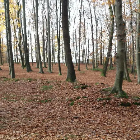Apartma Marija Apartamento Rogaška Slatina